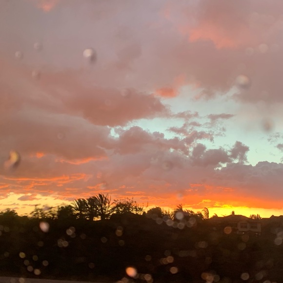 Meet your Posher, Sierra - Picture 1 of 1